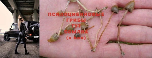 мефедрон Богородицк