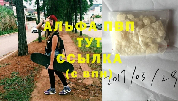 экстази Богданович